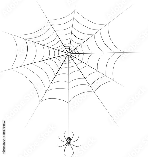 Spider in the web icon