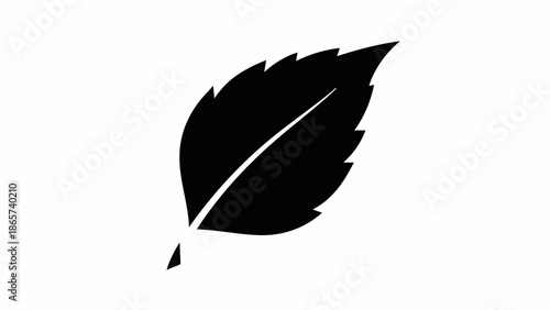 Simple black silhouette of a single leaf on a white background