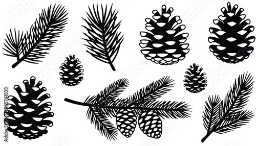 A set of pinecone silhouettes on transparent background