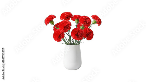 A bouquet of red carnations in a white vase on isolated transparent background