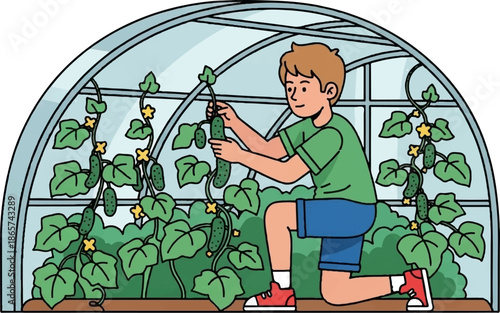 Young boy tending to cucumbers growing in a greenhouse