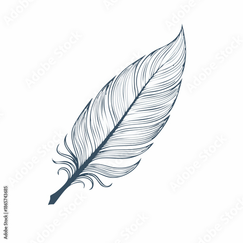 feather isolated on white background
