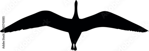 A striking silhouette of a bird captured in dynamic flight above