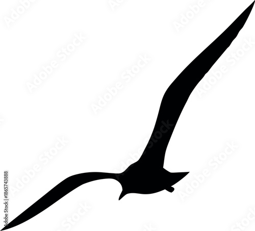 Illustrator Vector Design Featuring A Bird Illustration From December 2025
