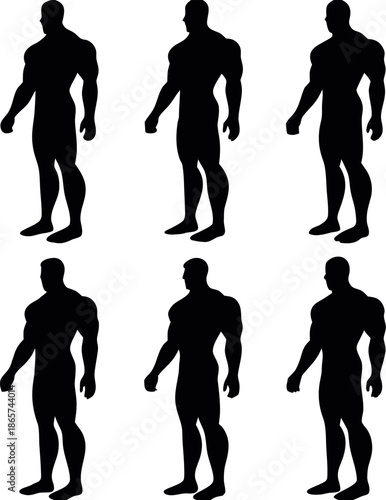 Muscular physique illustration showcasing detailed anatomy and physical fitness