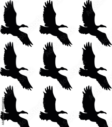 A flock of birds in flight depicted in a vector illustration style