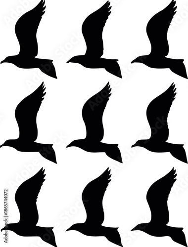 A dark bird silhouette soars with angled wings in flight