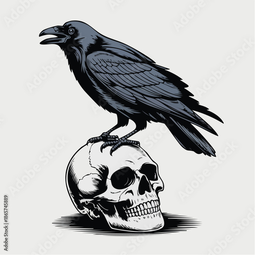 Crow Perched On Skull Illustration With Darkness.