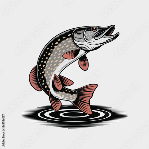 Dynamic Illustration of A Leaping Trout Fish.