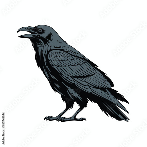 Elegant raven perched with sharp beak and feathers.