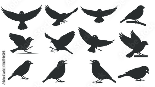 Versatile collection of twelve black bird silhouettes showing various flight patterns, perching poses, and singing behaviors isolated on a white background.