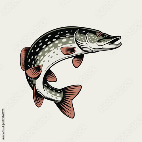 Illustrated Spotted Trout Aquatic Game Fish Artwork.