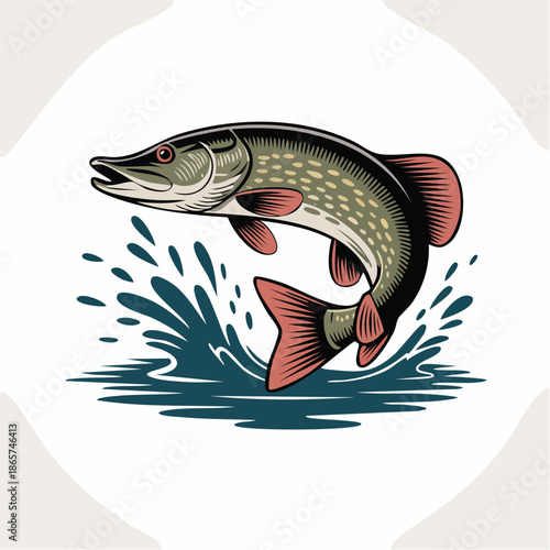 Illustration of a leaping trout fish above water splash.