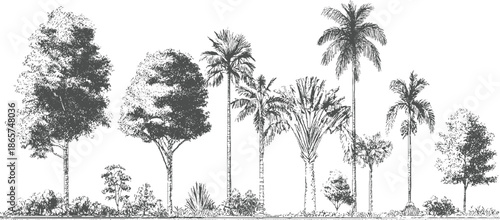 Collection of diverse trees and palm trees in a line style tropical nature foliage