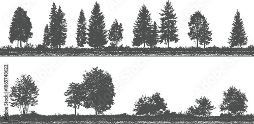 Dark gray silhouettes of various coniferous and deciduous trees and shrubs on a textured ground line against a white background