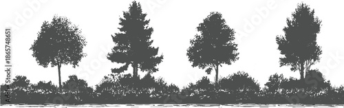 Four dark grey silhouette trees with varied foliage and dense undergrowth against a white background