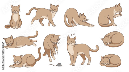 Cute Cartoon Cat Illustration Collection Set Featuring Various Poses Like Stretching Sleeping Playing Walking and Sitting Isolated on White Background Graphic.