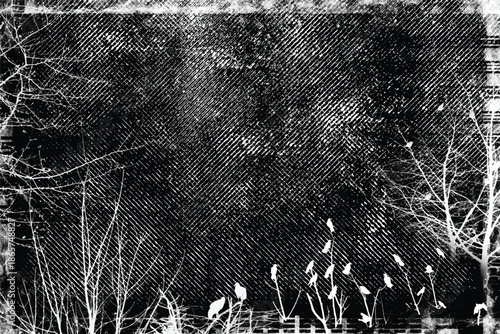 Silhouette of bush with birds. Grunge texture back. Gothic style black and white illustration	