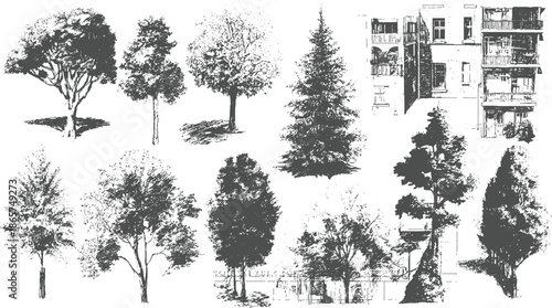 Collection of detailed charcoal style trees and building facades foliage branches trunk