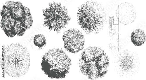 View aerial perspective of various trees and a brick pathway botanical