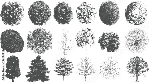 Collection of diverse grey tree silhouettes and view on white background