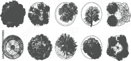 Down view of ten different trees and architectural in grey silhouette