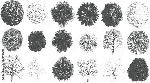 Collection of fifteen diverse grey tree viewed from above and side profiles trees silhouette