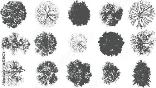 Collection of fifteen grey tree silhouettes with detailed branches and foliage on white background view