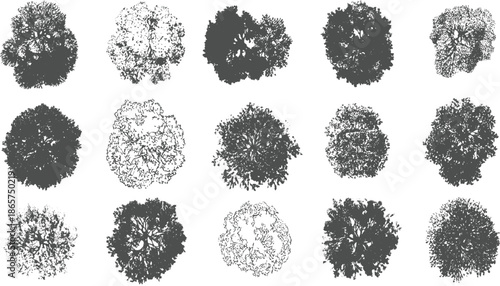 Collection of fifteen dark grey tree canopy view silhouettes on white background trees overhead