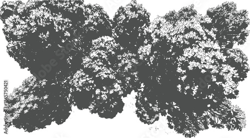 Dense cluster of dark grey leaves and branches against white background foliage