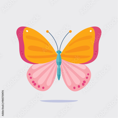 butterfly isolated on white