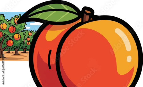 A close-up of a plump peach with a peach orchard in the background