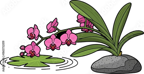 Delicate pink orchid blossoms arch over a lily pad floating on rippling water