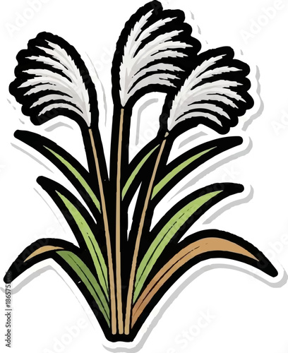 Artistic illustration of three fluffy white pampas grass plumes emerging from green stalks