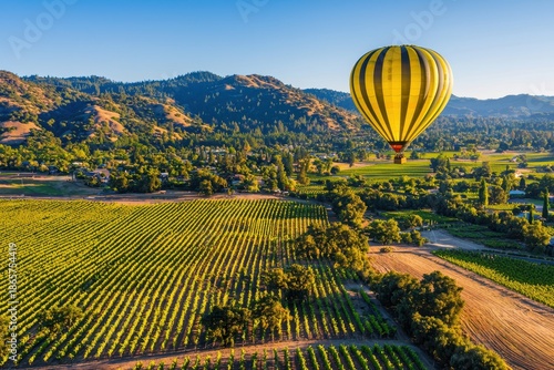 Scenic Hot Air Balloon Over Lush Vineyard Landscape at Sunrise