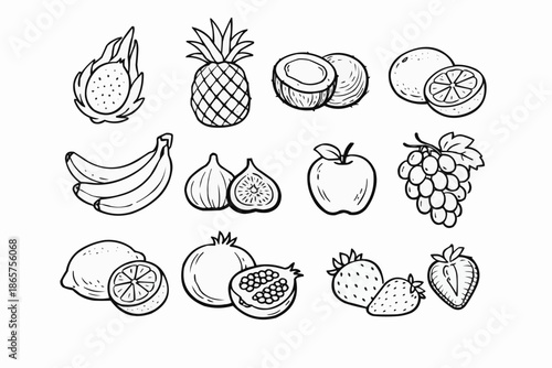 A delicate sketch illustration of several tropical fruits on display
