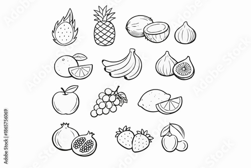 A simple sketch illustration of various tropical fruits and leaves