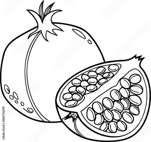 A detailed black and white vector illustration of a pomegranate fruit