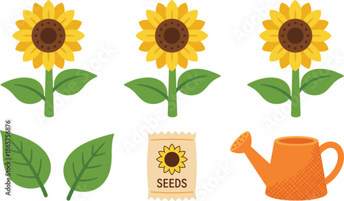 Sunflower gardening flat vector illustration set, seeds leaves watering can, cute minimal cartoon spring icons