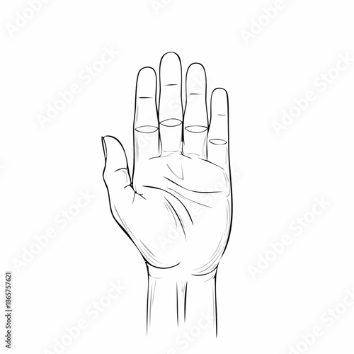 hand vector illustration