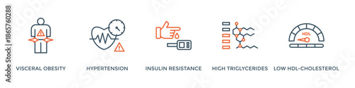 Symptoms of Metabolic Syndrome banner web icon vector illustration concept with an icon of Hypertension, Insulin Resistance, High Triglycerides, Low HDL-Cholesterol, Visceral Obesity