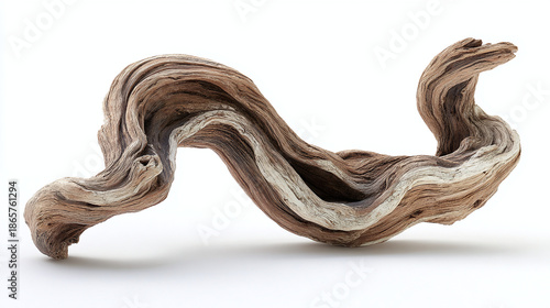 A weathered piece of driftwood, showcasing intricate grain patterns and natural curves. Its unique form tells a story of the ocean and the passage of time