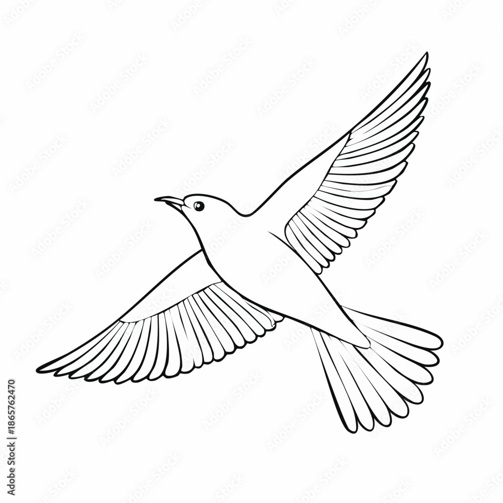 Fototapeta premium white dove isolated on white