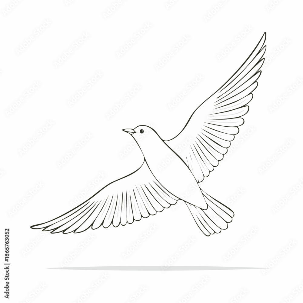 Obraz premium white dove isolated on white