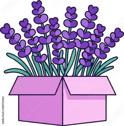 A vibrant cartoon illustration of purple lavender sprigs bursting from a light pink open box