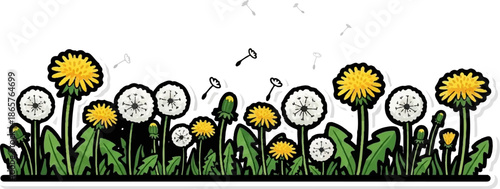 A line of dandelions, some yellow and blooming, others white and fluffy with seeds scattering