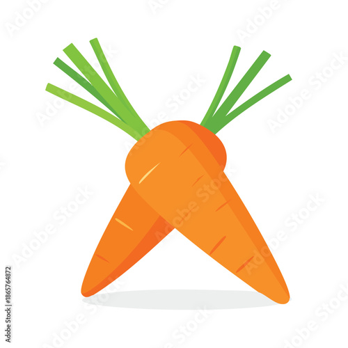 Two carrots with green tops on white background