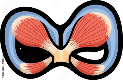 Abstract, stylized representation of paired, red, muscular structures within a blue, curved framework