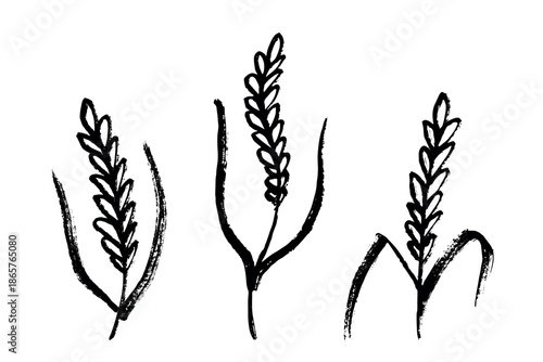 Set of hand drawn cereal wheat oat rye barley rice ears spikelet clipart Organic wheat bread agriculture farming harvest healthy food Single element for design print packaging label decor