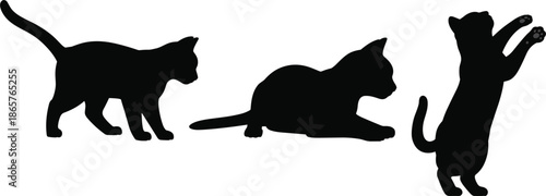 Cute kitten silhouette collection with cat characters walking lying and playing for pet lovers vector
